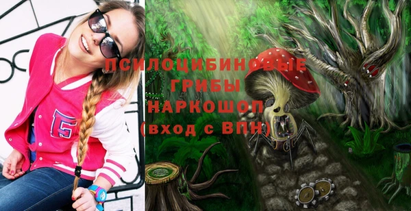 а пвп мука Алексеевка