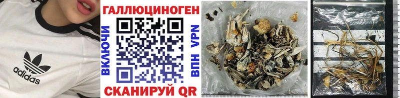 Псилоцибиновые грибы Psilocybine cubensis  блэк спрут ССЫЛКА  Нижний Новгород 