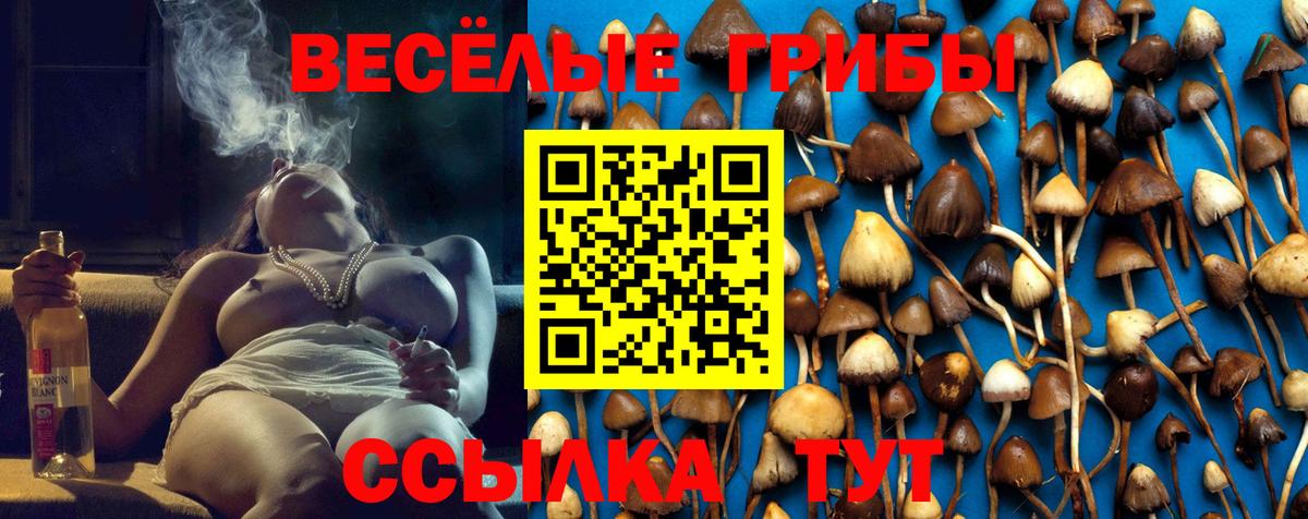 Галлюциногенные грибы MAGIC MUSHROOMS  Вход с VPN  Псилоцибиновые грибы GOLDEN TEACHER  Нижний Новгород 